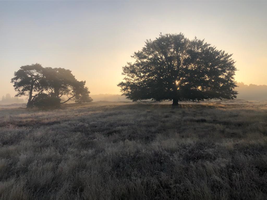 Schemerwandeling, Wekeromse Zand