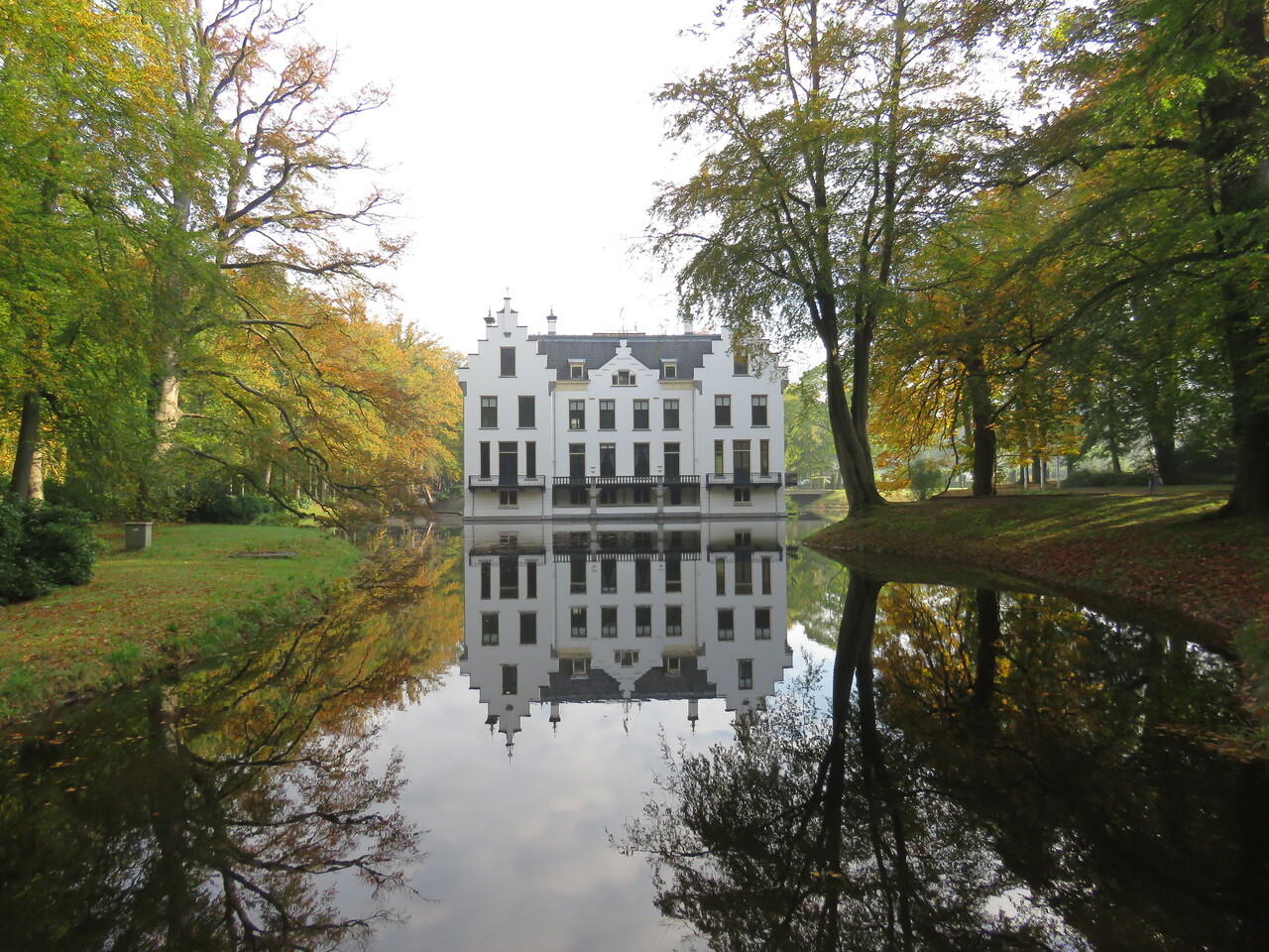 Het bos tussen zomer en herfst, landgoed Staverden