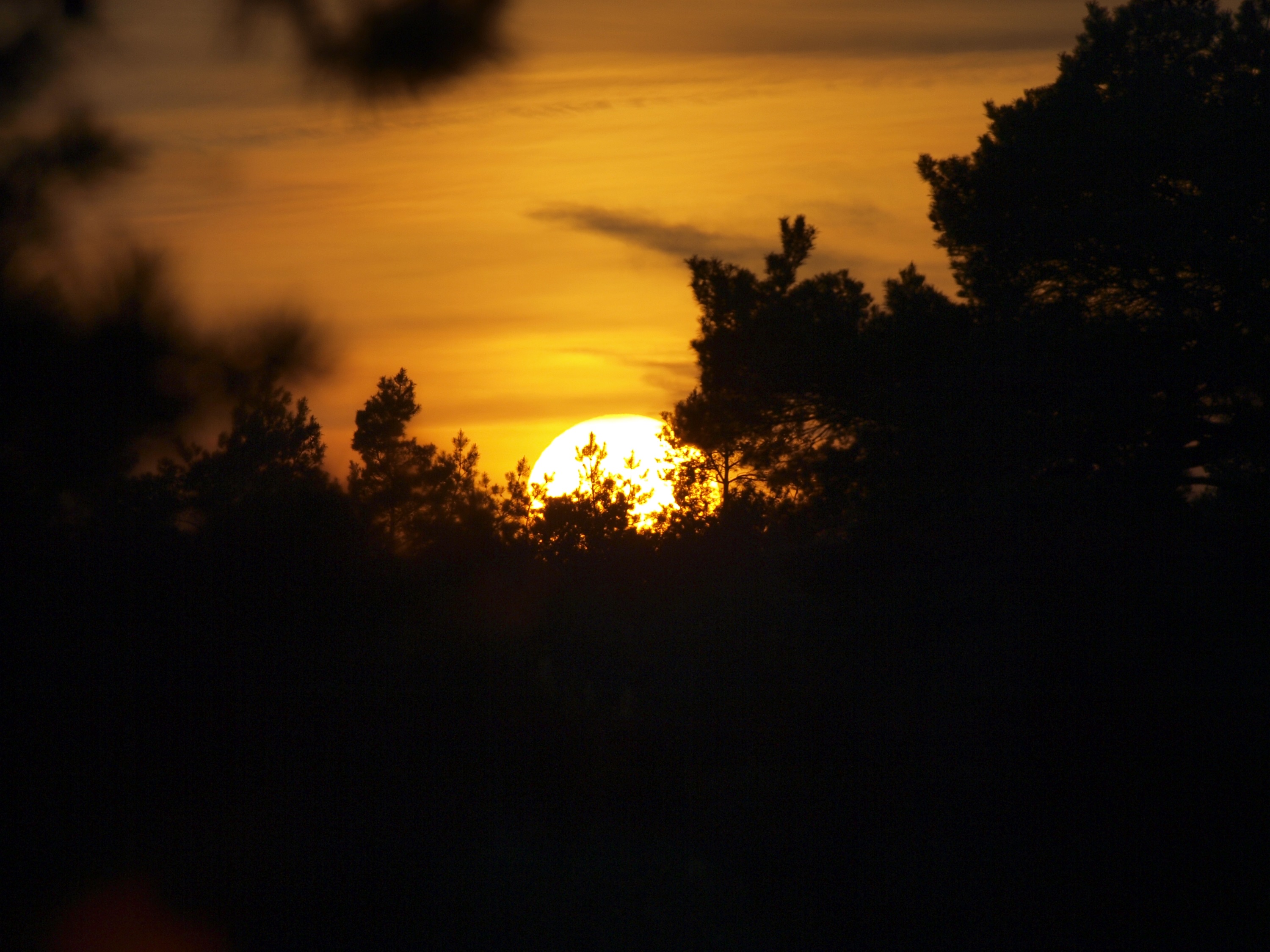 Nacht van de Nacht, Tongerense Heide