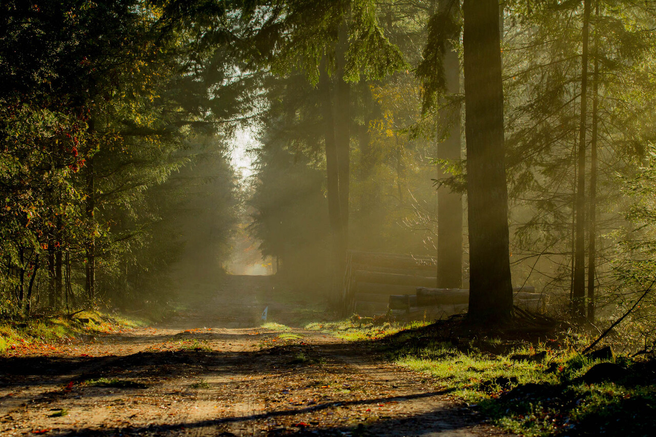 Stevige winterwandeling, landgoed De Dellen