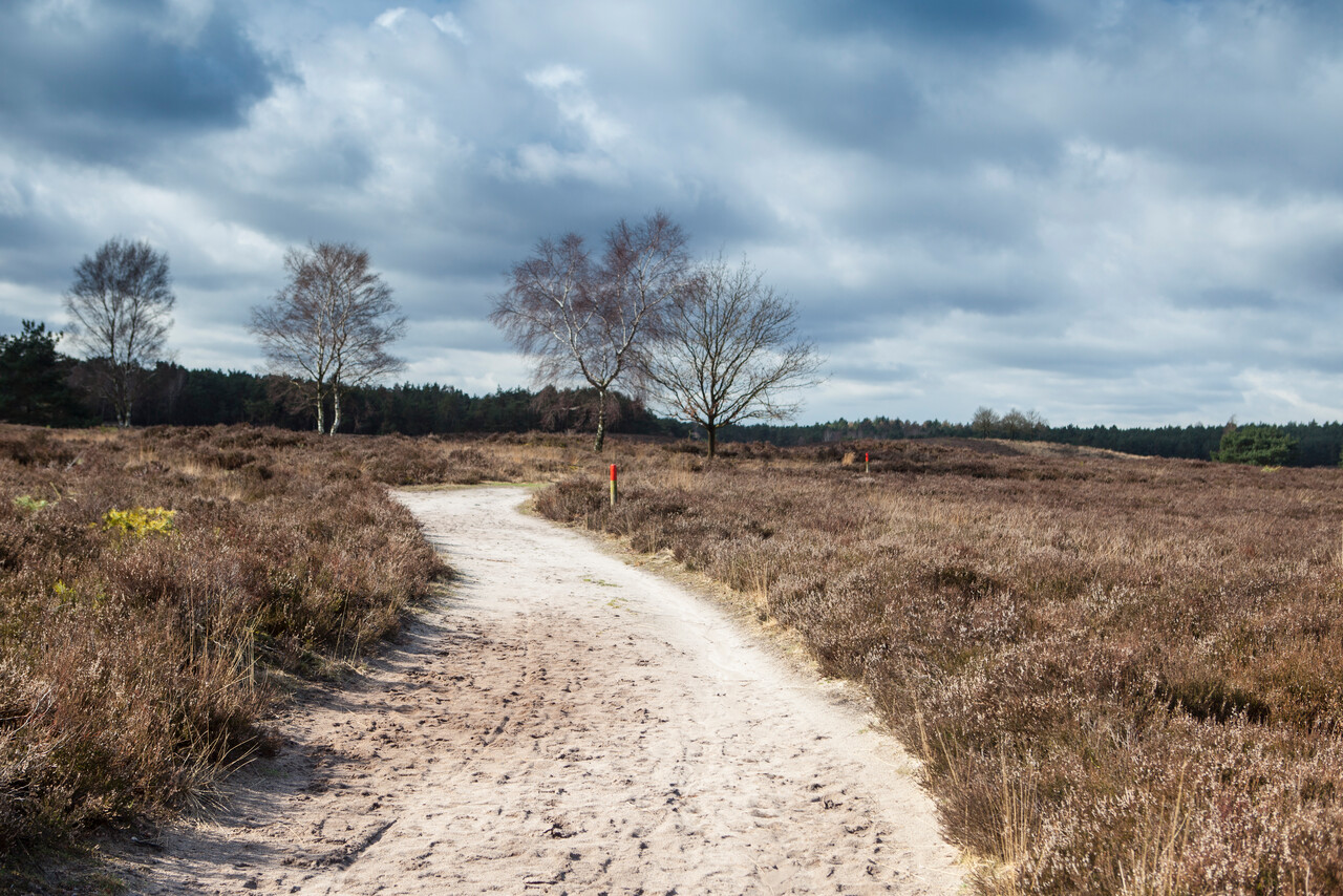 Natuur in verandering, Tongerense Heide