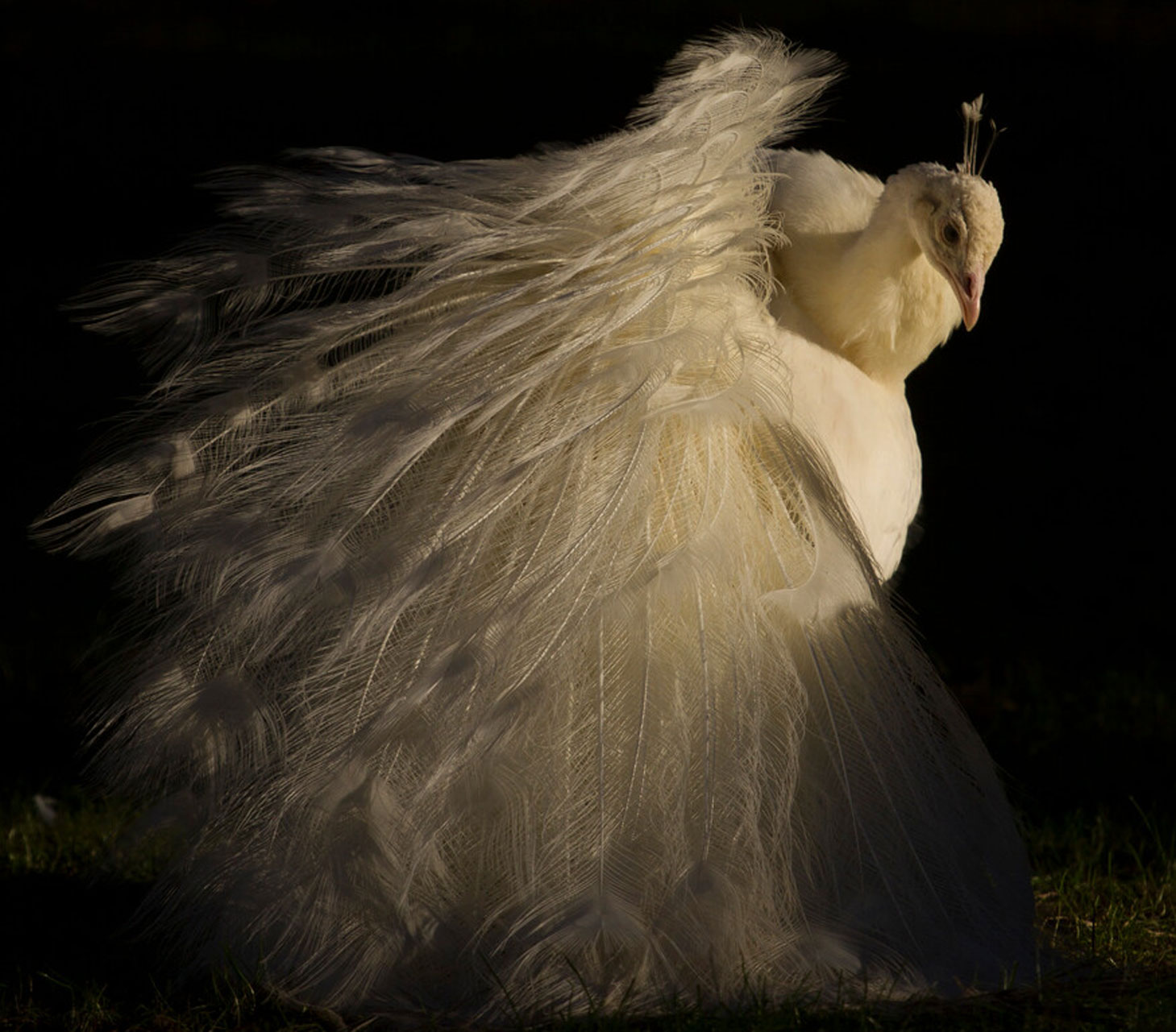 Sagen, schimmen en legenden, landgoed Staverden