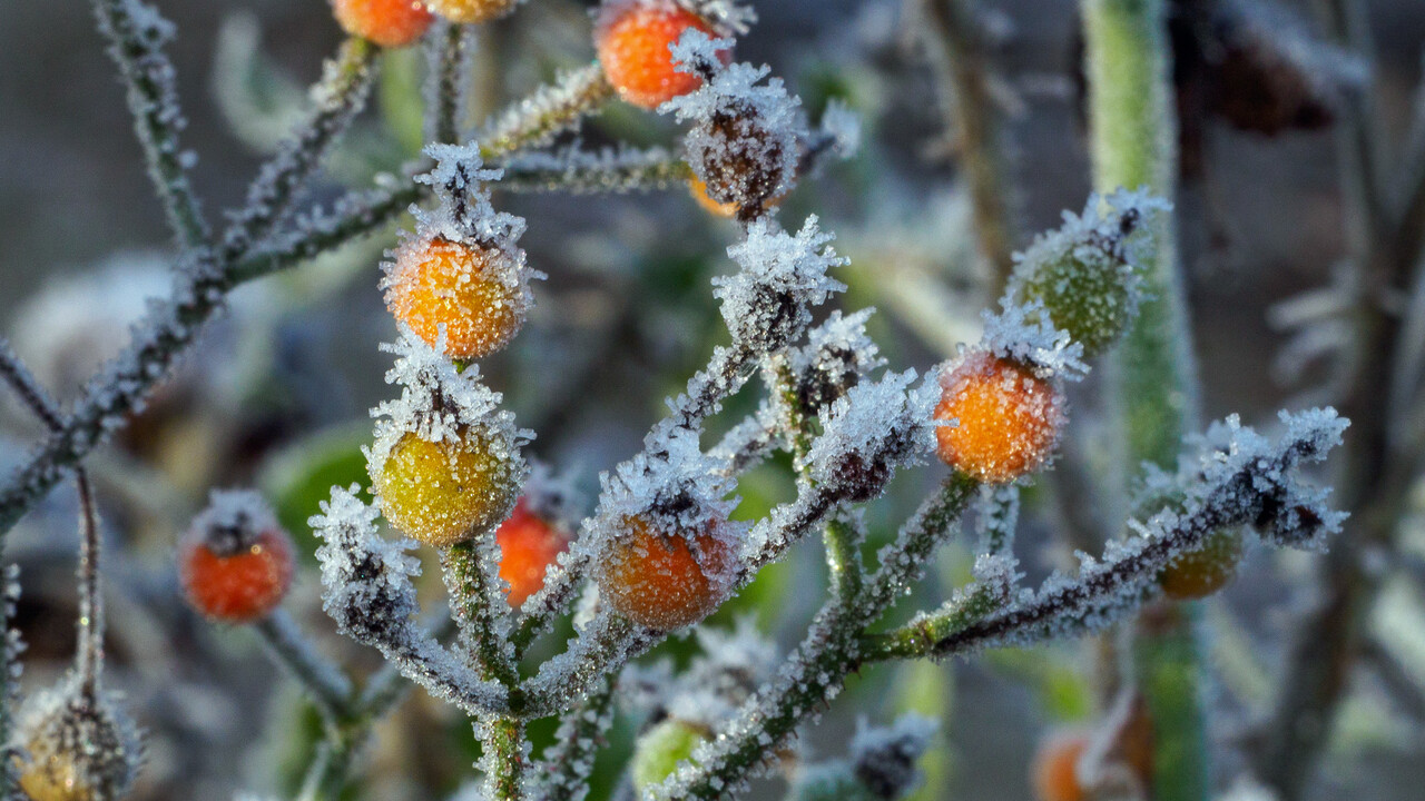 Winterwandeling, landgoed Warnsborn