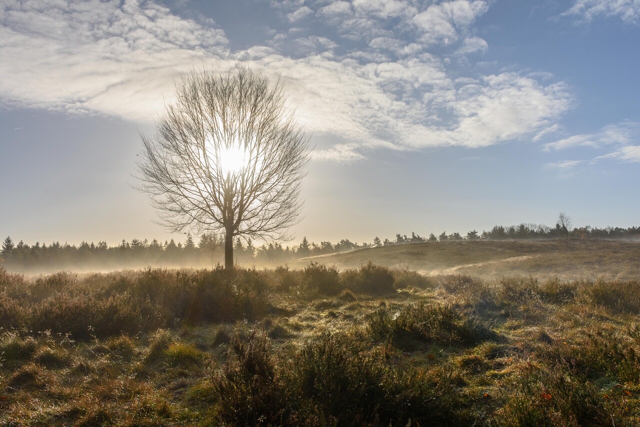 Frisse ochtendwandeling landgoed Petrea