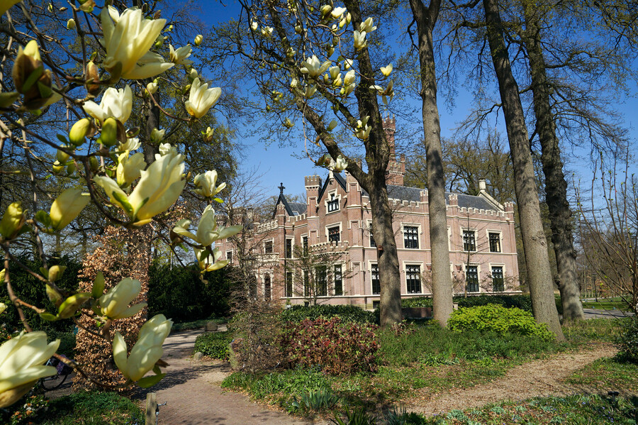 Voorjaarswandeling landgoed Schaffelaar 