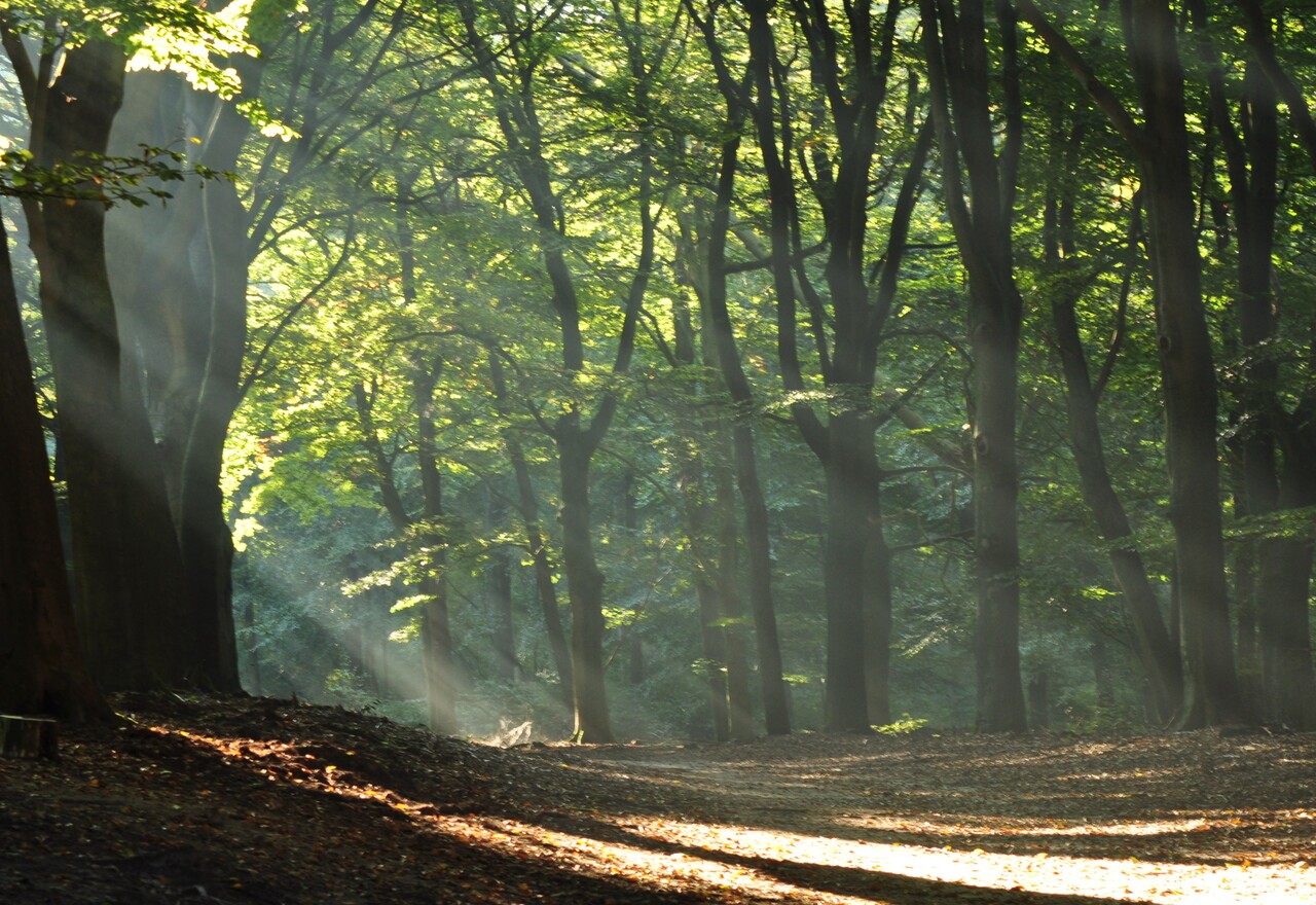 Cultuurhistorische wandeling, landgoed Hoekelum