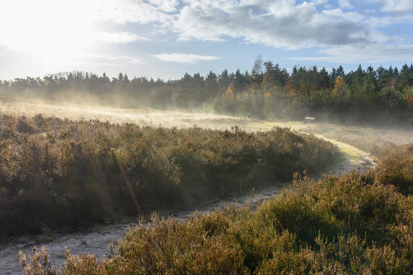 Frisse ochtendwandeling, Petrea