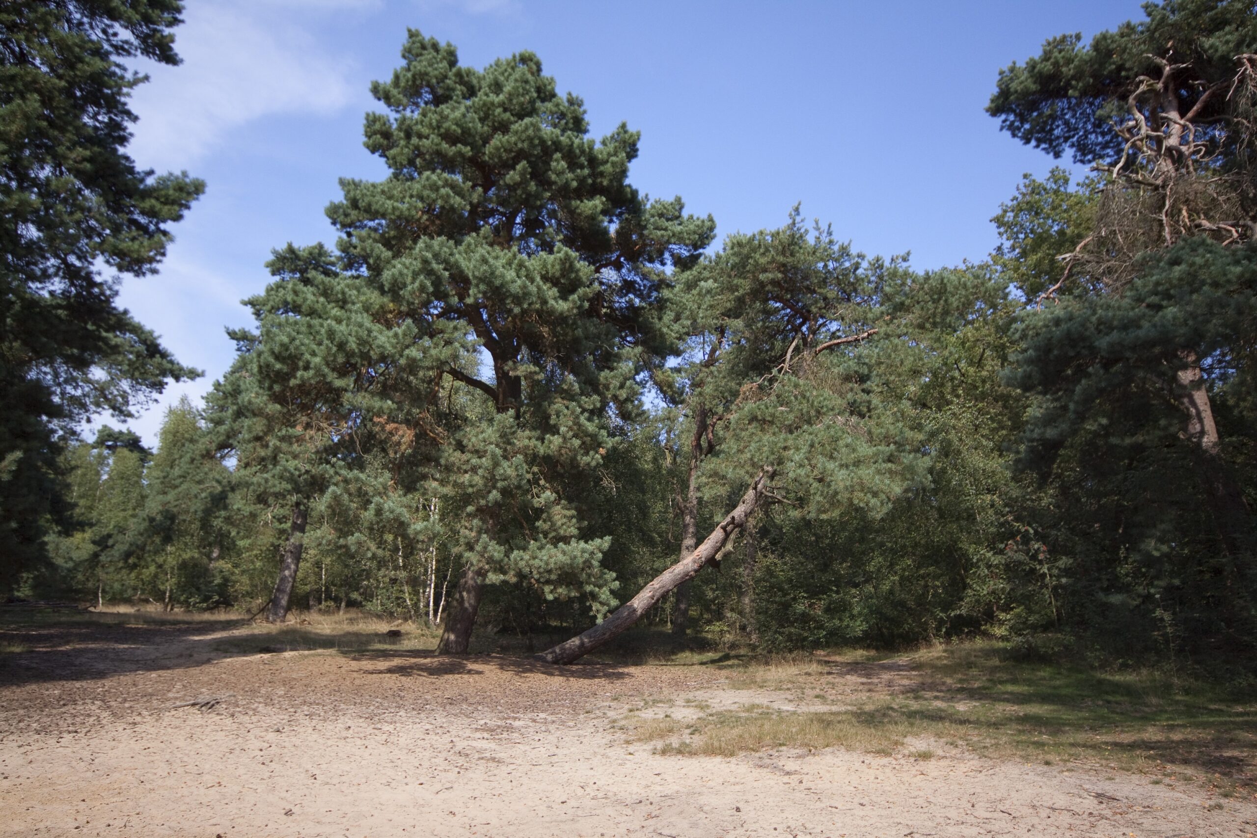 Lange wandeling, Sysselt