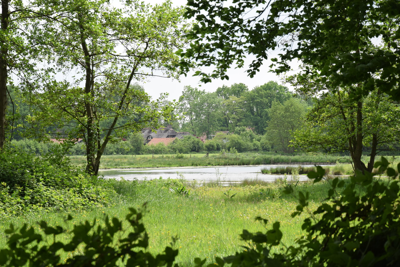 Cultuurhistorische wandeling landgoed Hoevelaken